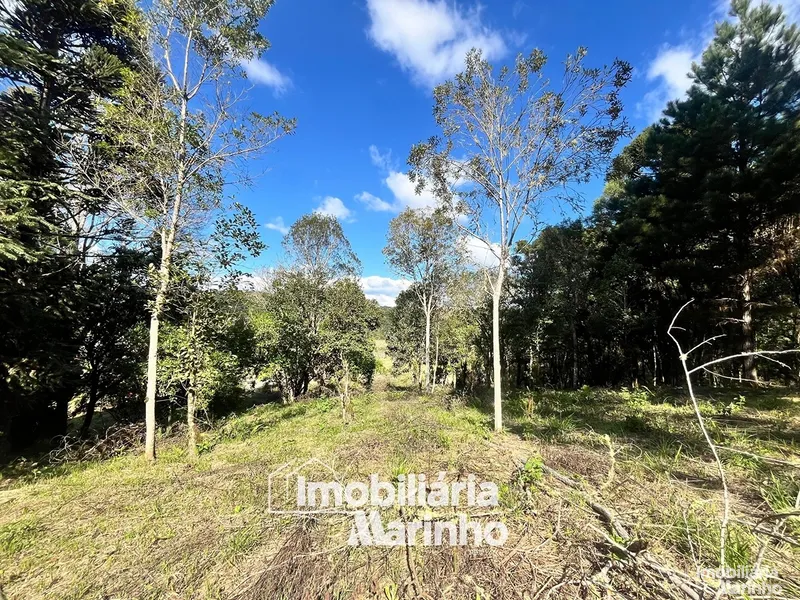 null: 4ª foto da galeria de imagens do imóvel
