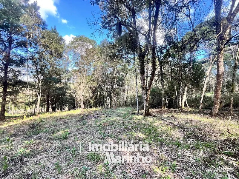null: 1ª foto da galeria de imagens do imóvel