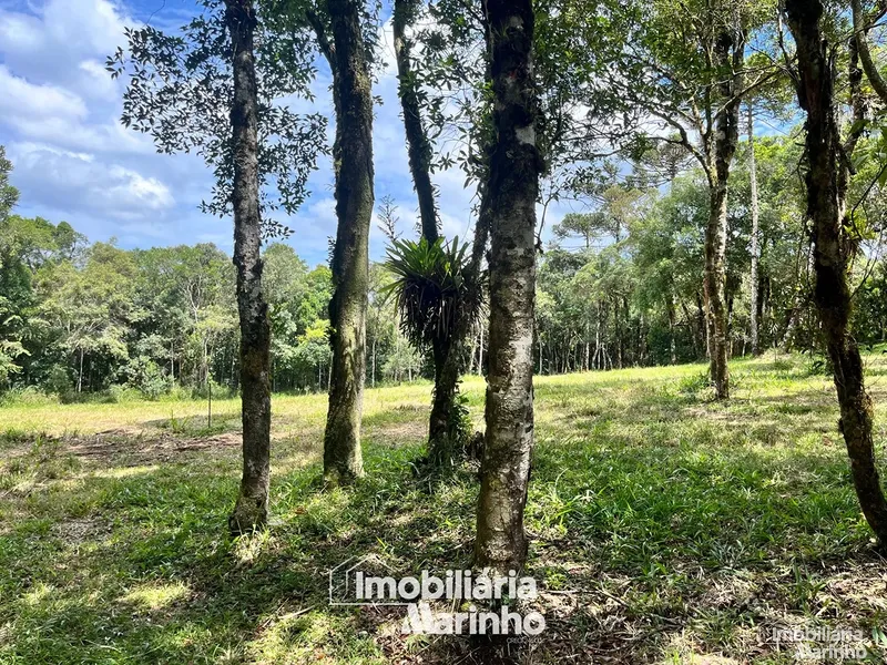 null: 5ª foto da galeria de imagens do imóvel