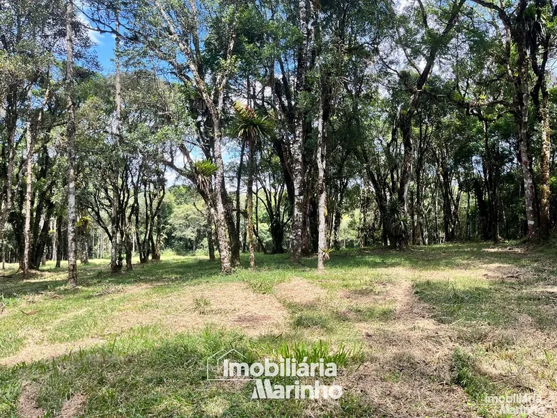 null: 4ª foto da galeria de imagens do imóvel