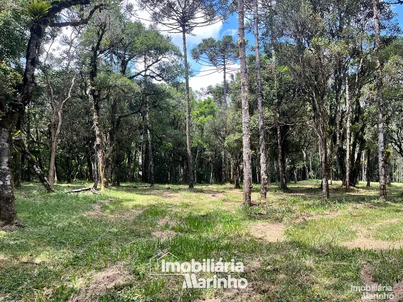 null: 1ª foto da galeria de imagens do imóvel