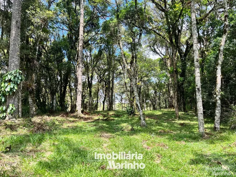 null: 2ª foto da galeria de imagens do imóvel