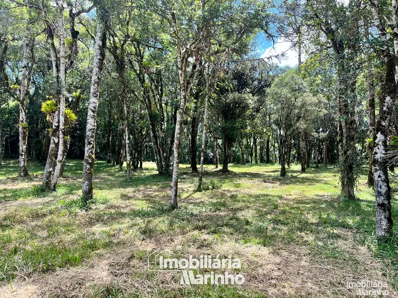 null: 7ª foto da galeria de imagens do imóvel