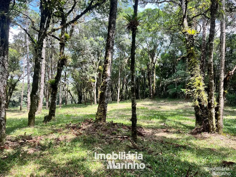 null: 3ª foto da galeria de imagens do imóvel