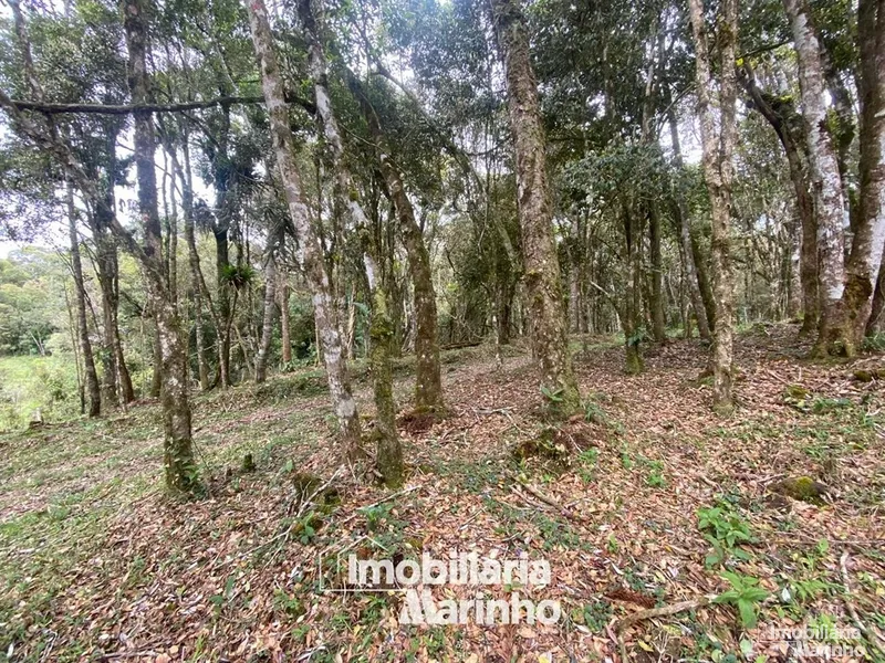 null: 9ª foto da galeria de imagens do imóvel