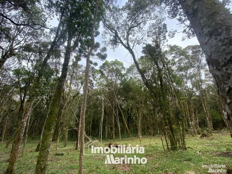 null: 25ª foto da galeria de imagens do imóvel