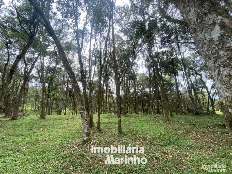 null: 2ª foto da galeria de imagens do imóvel