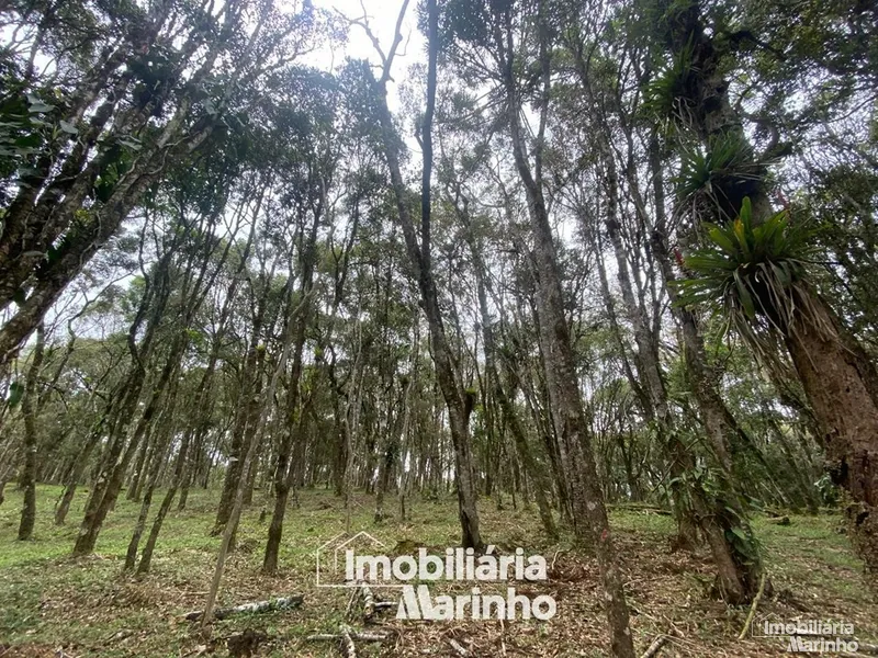 null: 23ª foto da galeria de imagens do imóvel