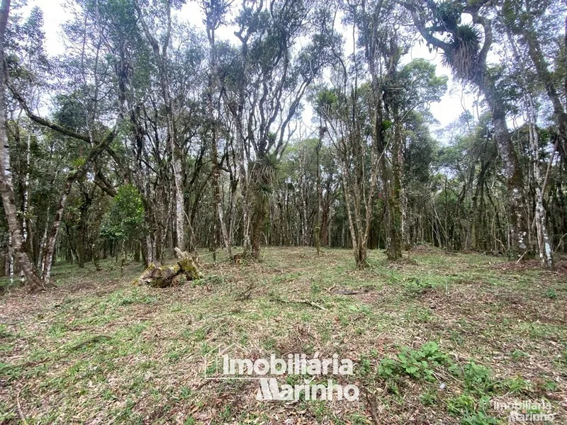 null: 7ª foto da galeria de imagens do imóvel