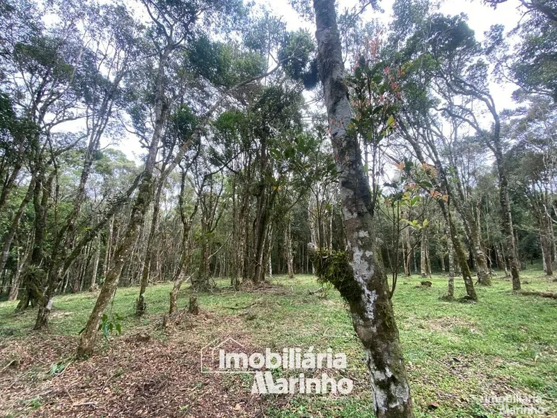 null: 5ª foto da galeria de imagens do imóvel