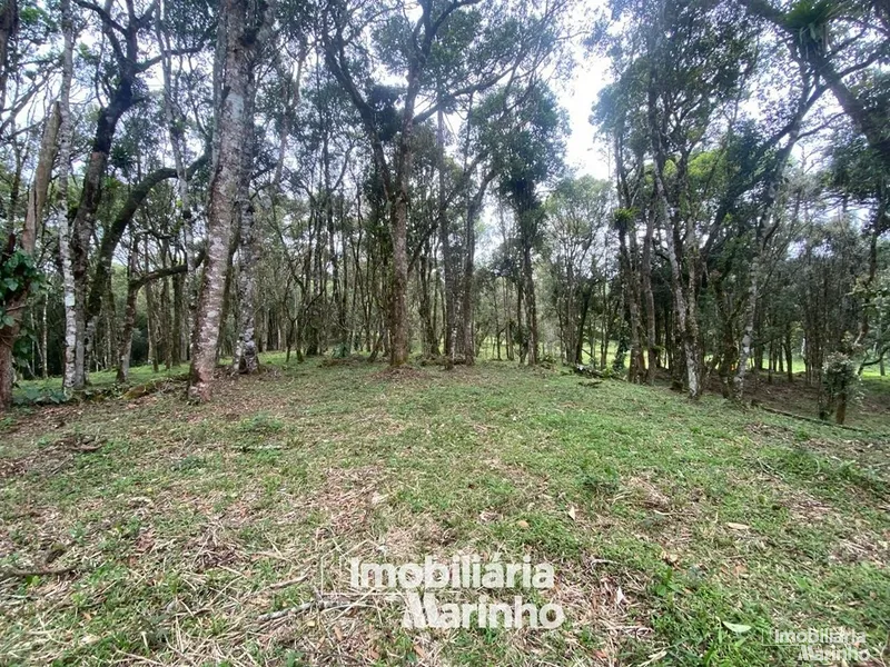 null: 8ª foto da galeria de imagens do imóvel