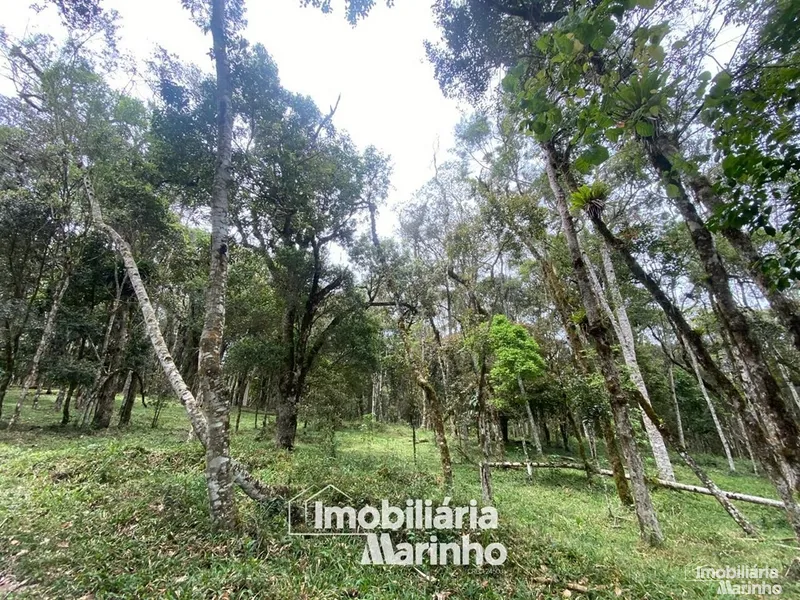 null: 17ª foto da galeria de imagens do imóvel