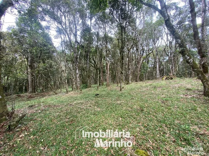 null: 12ª foto da galeria de imagens do imóvel