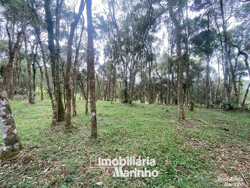 null: 6ª foto da galeria de imagens do imóvel