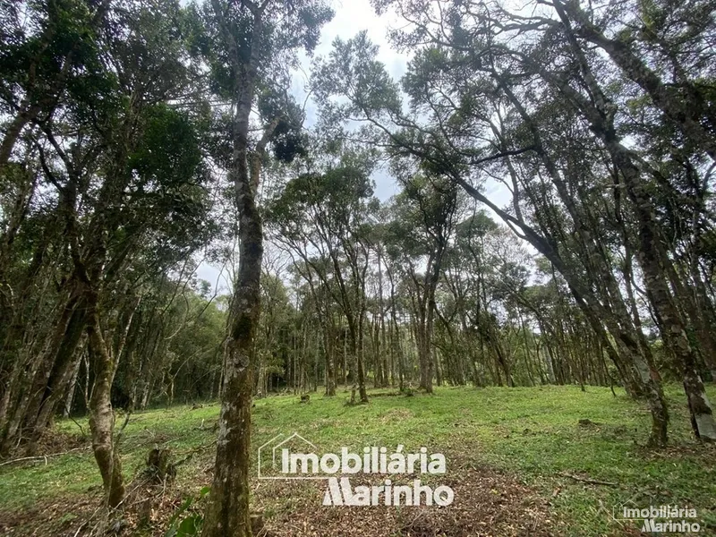 null: 3ª foto da galeria de imagens do imóvel