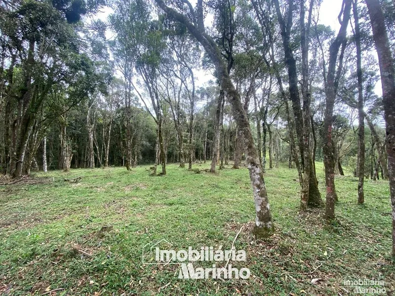 null: 1ª foto da galeria de imagens do imóvel
