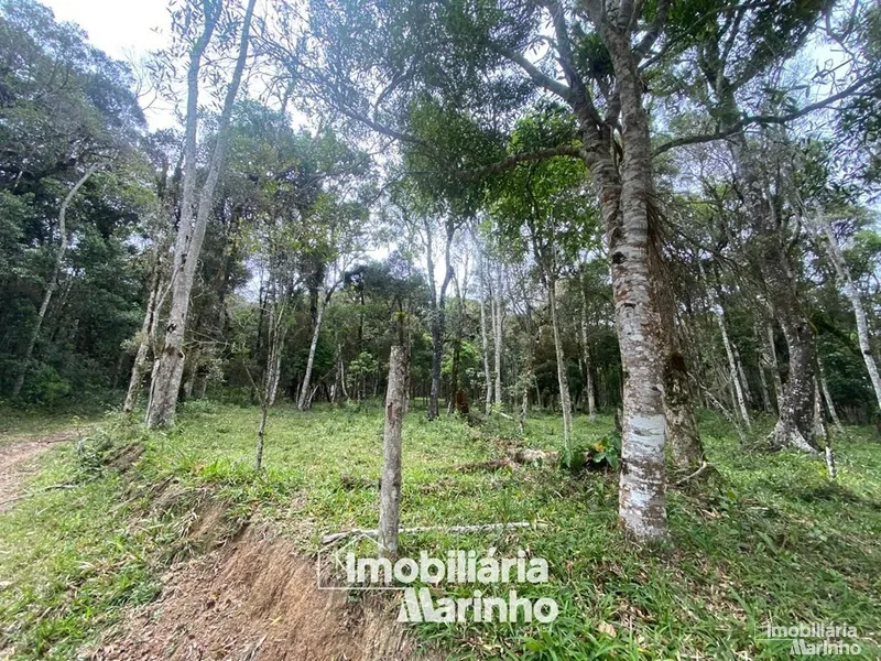 null: 14ª foto da galeria de imagens do imóvel