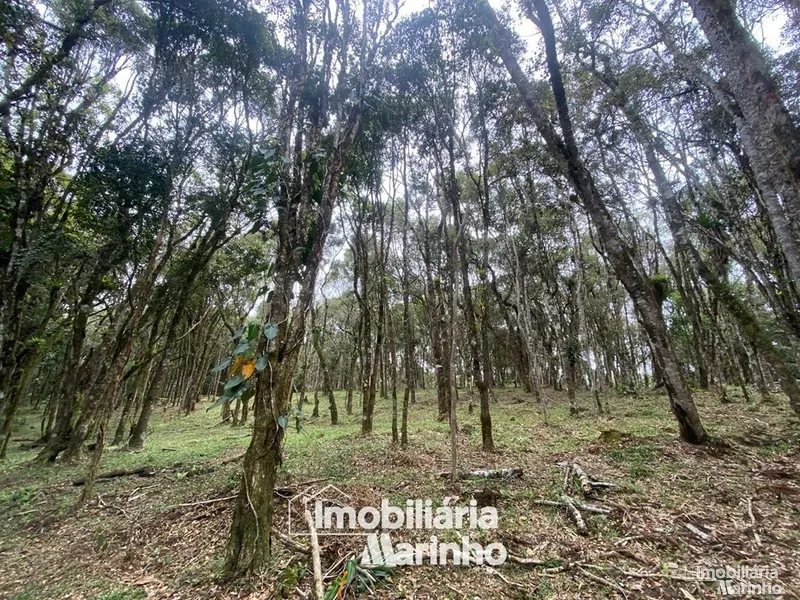null: 24ª foto da galeria de imagens do imóvel