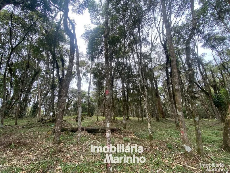 null: 27ª foto da galeria de imagens do imóvel