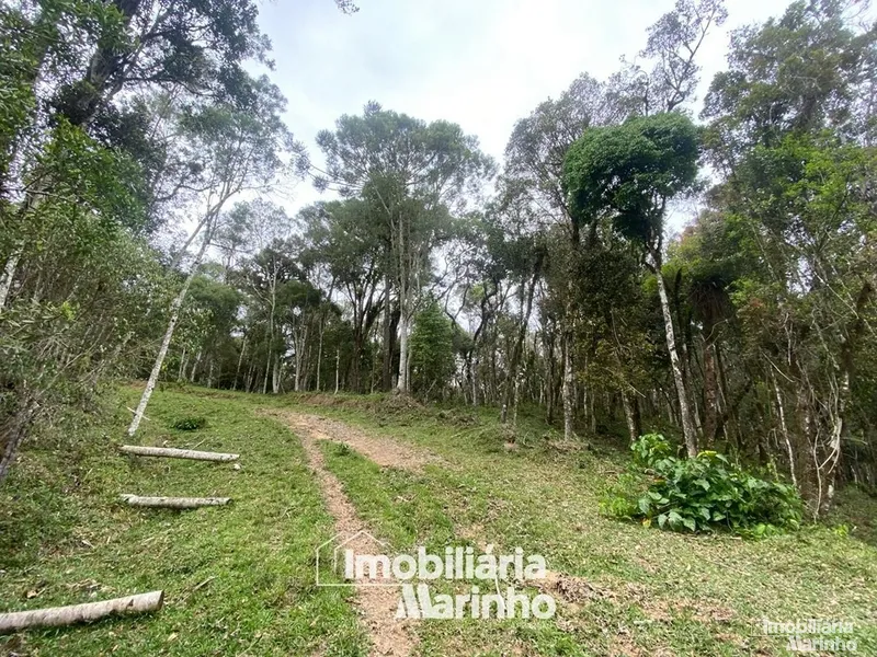 null: 15ª foto da galeria de imagens do imóvel