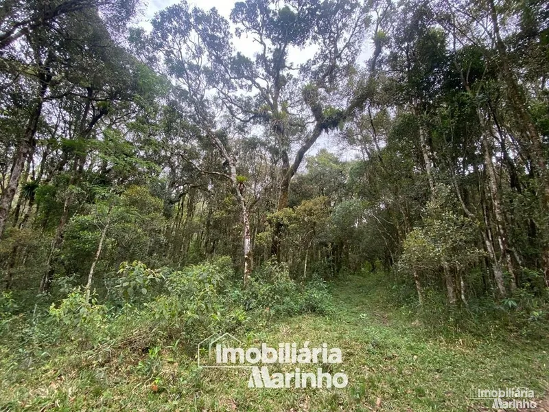 null: 19ª foto da galeria de imagens do imóvel