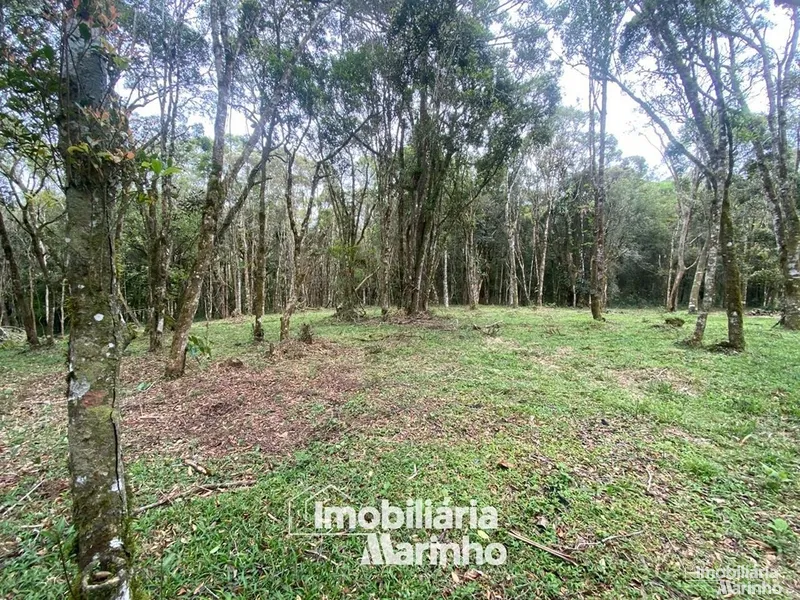 null: 4ª foto da galeria de imagens do imóvel