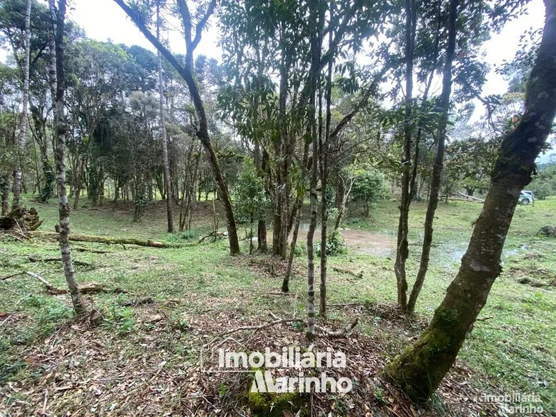 null: 10ª foto da galeria de imagens do imóvel