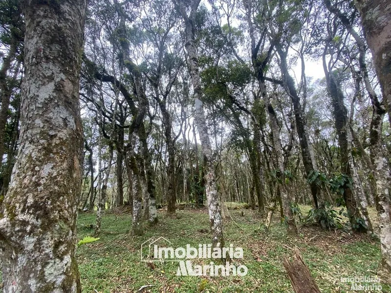 null: 28ª foto da galeria de imagens do imóvel