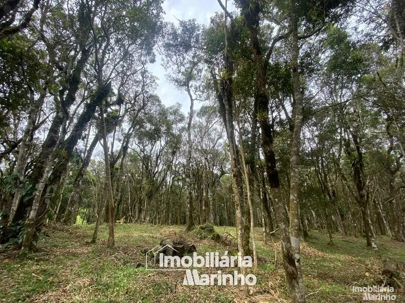 null: 26ª foto da galeria de imagens do imóvel