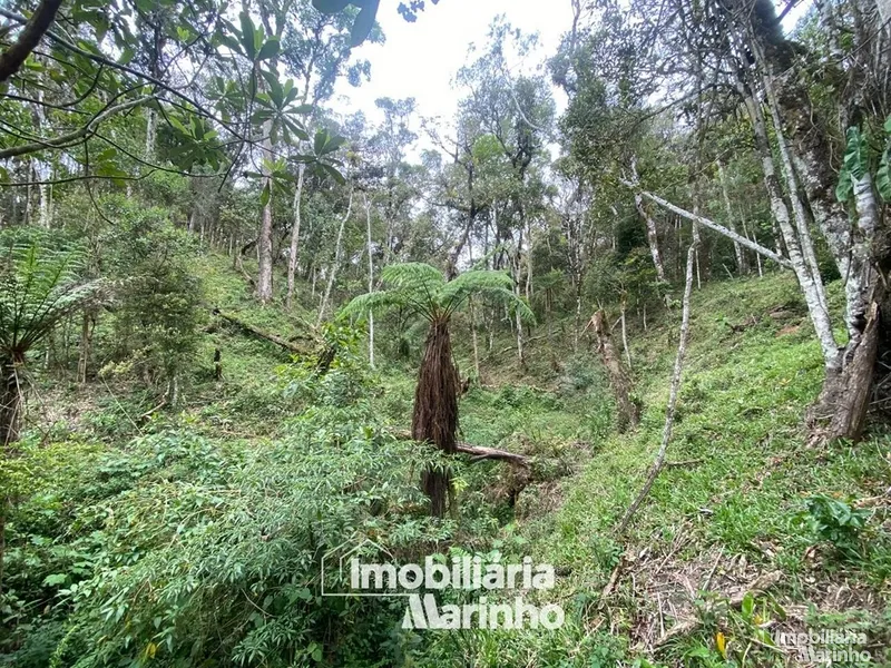 null: 18ª foto da galeria de imagens do imóvel