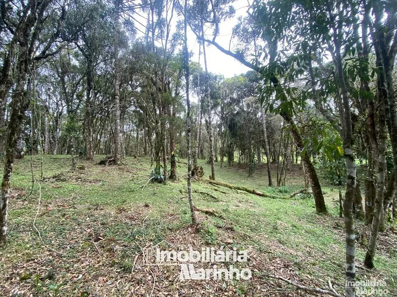 null: 11ª foto da galeria de imagens do imóvel