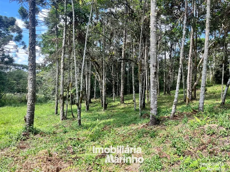 null: 2ª foto da galeria de imagens do imóvel
