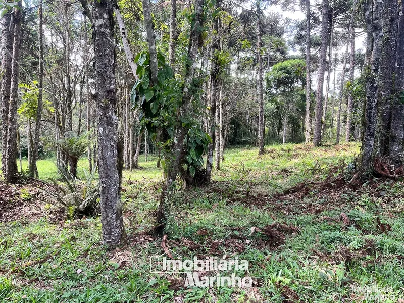null: 14ª foto da galeria de imagens do imóvel