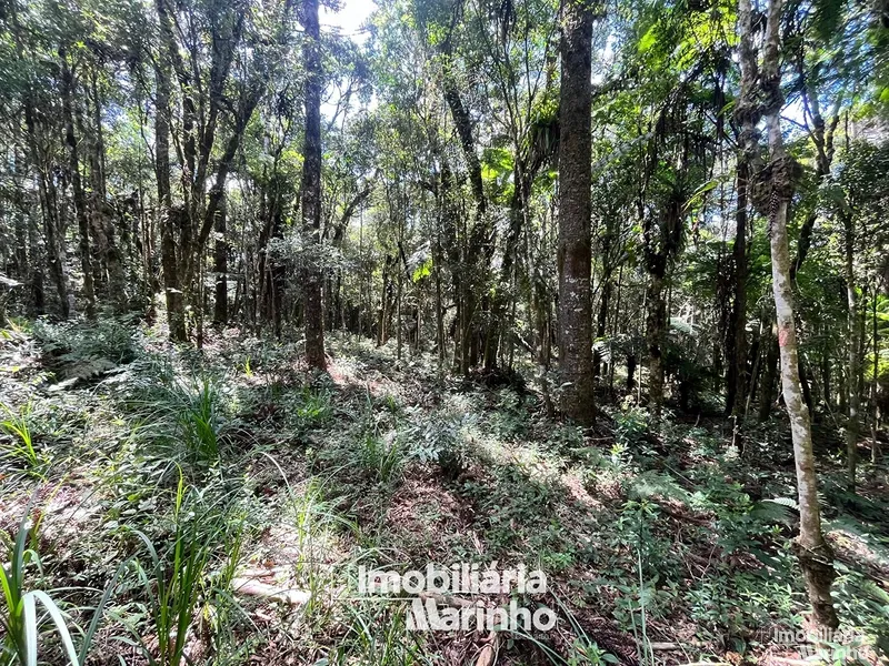 null: 5ª foto da galeria de imagens do imóvel
