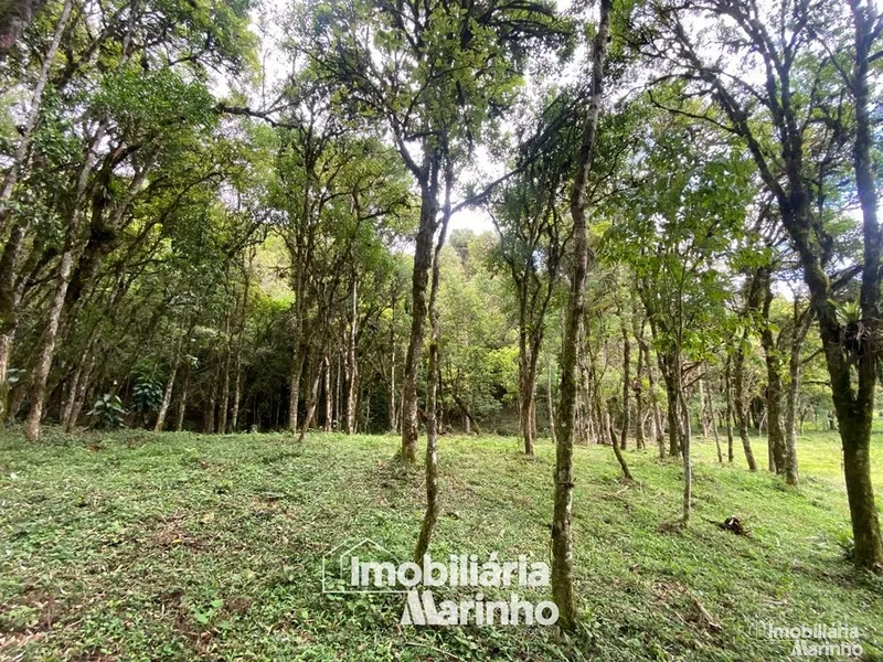 null: 23ª foto da galeria de imagens do imóvel