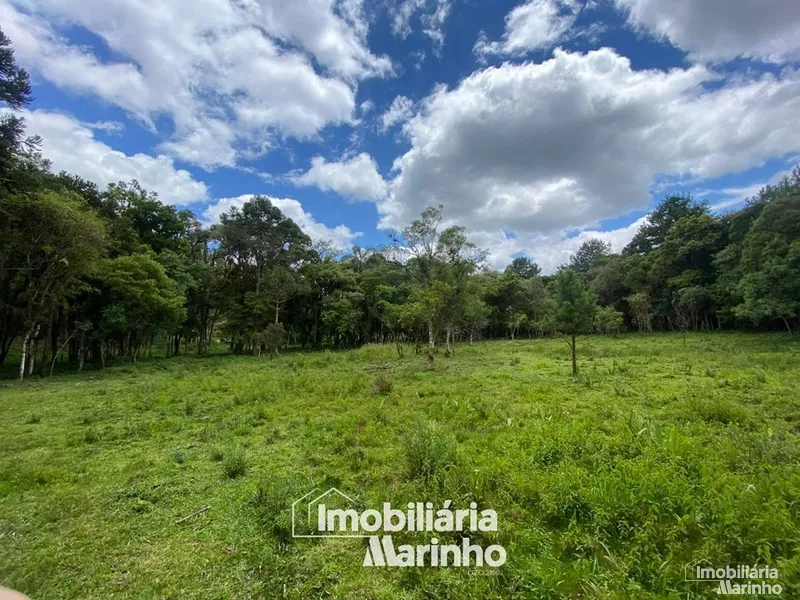null: 21ª foto da galeria de imagens do imóvel