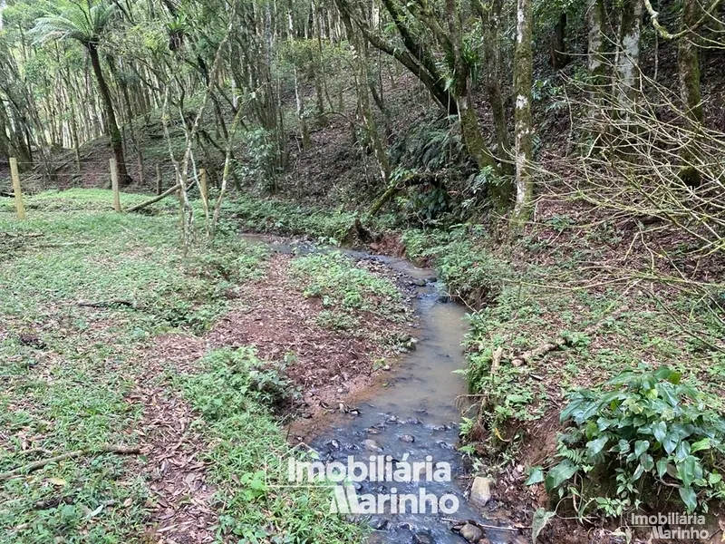 null: 19ª foto da galeria de imagens do imóvel