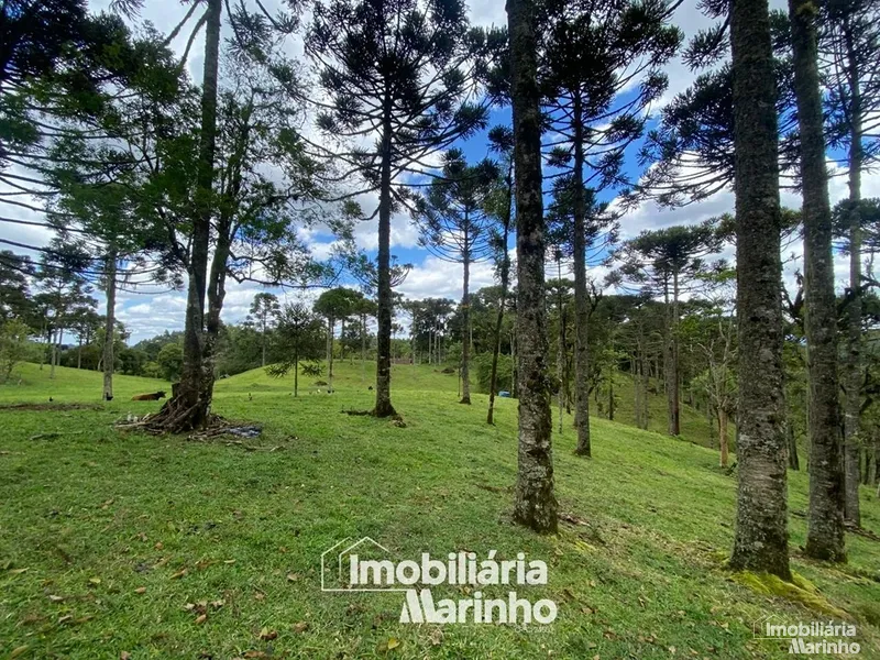null: 16ª foto da galeria de imagens do imóvel