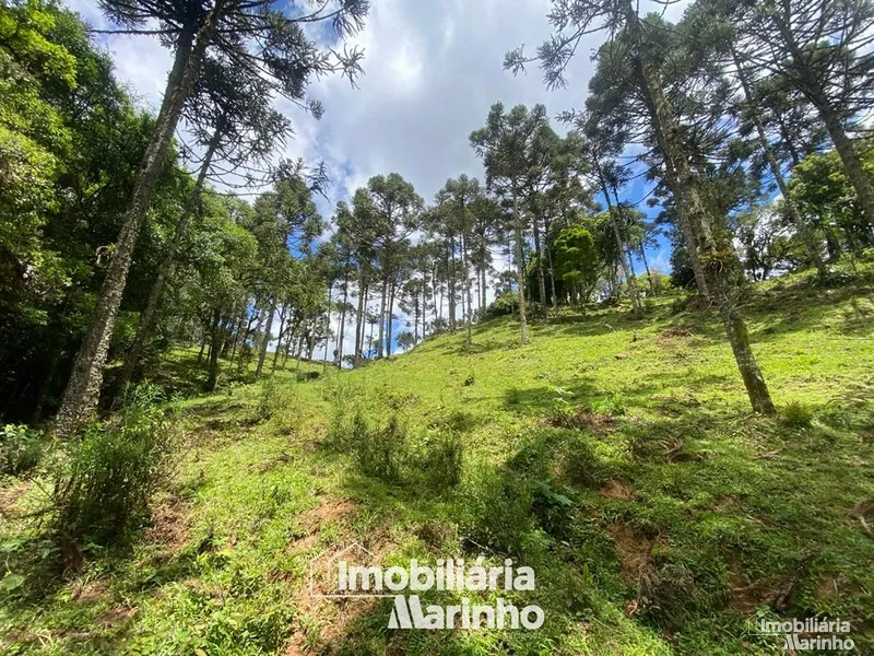 null: 18ª foto da galeria de imagens do imóvel