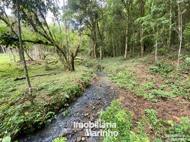 null: 20ª foto da galeria de imagens do imóvel