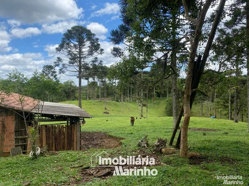 null: 15ª foto da galeria de imagens do imóvel