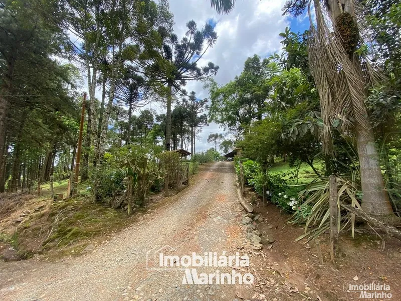 null: 29ª foto da galeria de imagens do imóvel