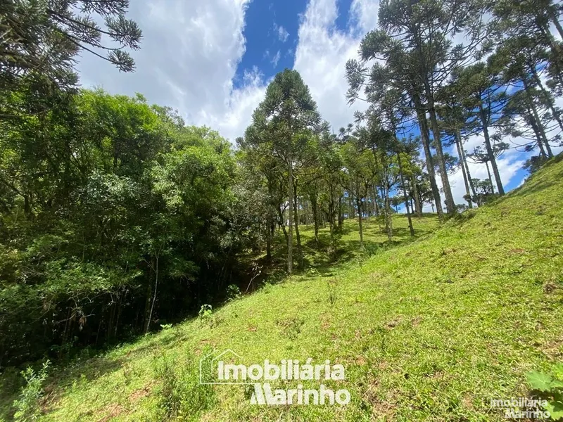 null: 25ª foto da galeria de imagens do imóvel