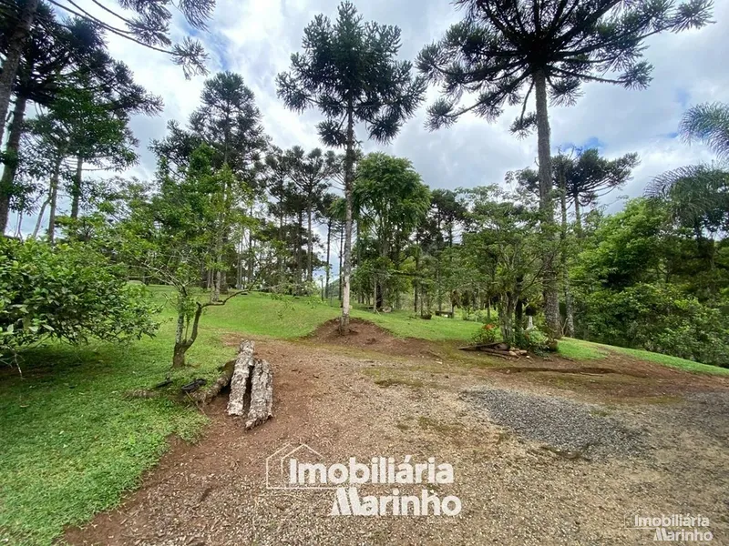 null: 14ª foto da galeria de imagens do imóvel