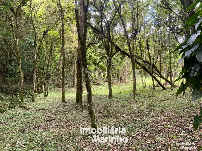 null: 17ª foto da galeria de imagens do imóvel