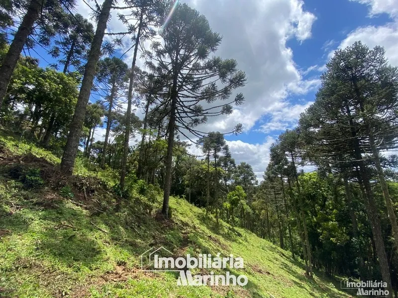 null: 24ª foto da galeria de imagens do imóvel