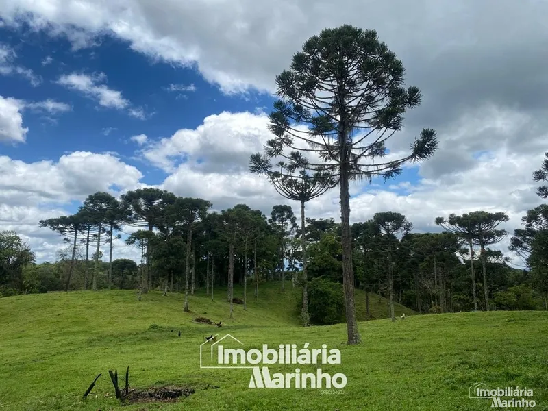 null: 1ª foto da galeria de imagens do imóvel
