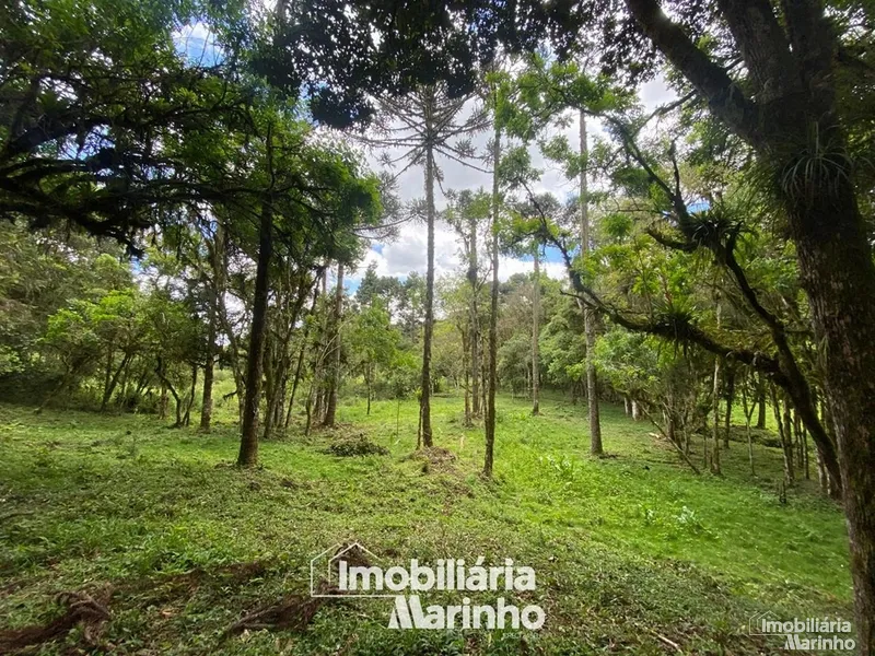 null: 22ª foto da galeria de imagens do imóvel