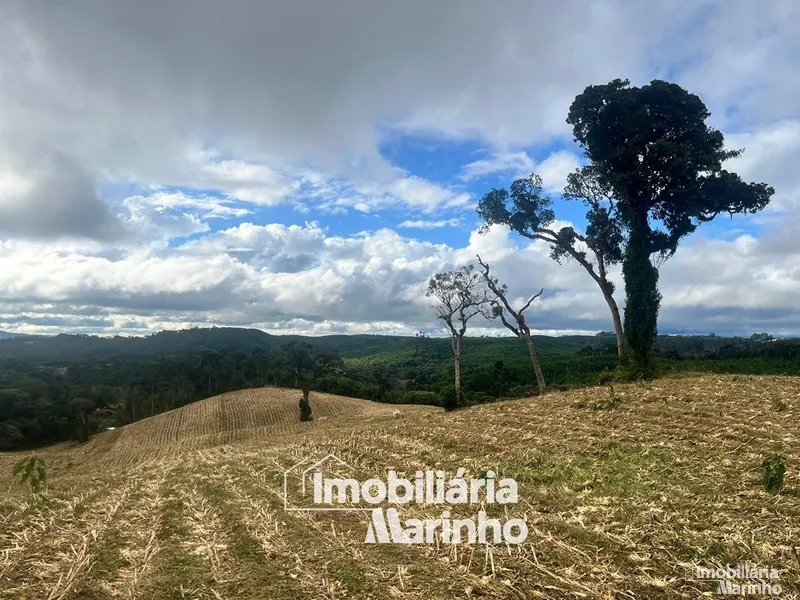 null: 2ª foto da galeria de imagens do imóvel