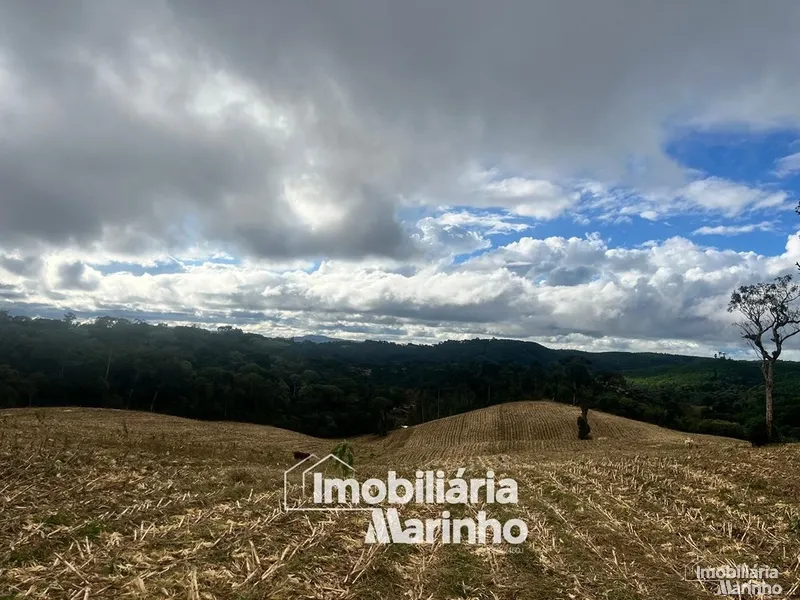 null: 4ª foto da galeria de imagens do imóvel